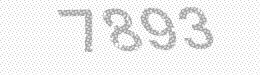 Visual security code — type the characters shown in the image